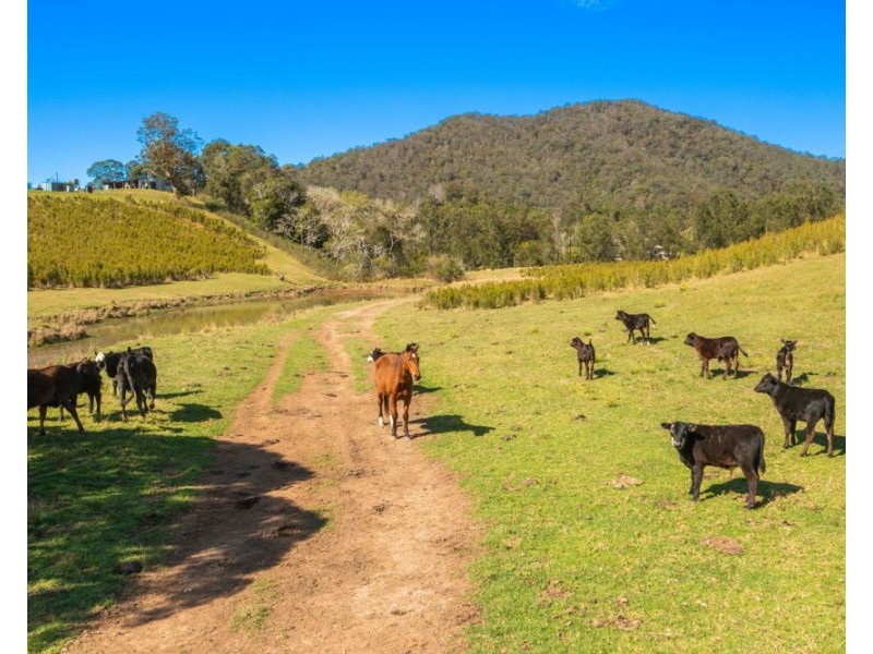 1756 North Arm Road, Bowraville NSW 2449