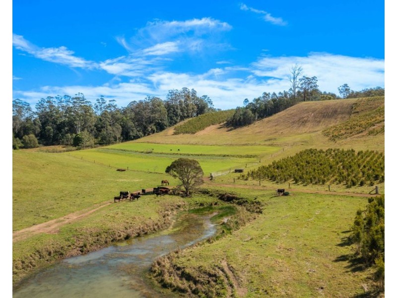 1756 North Arm Road, Bowraville NSW 2449