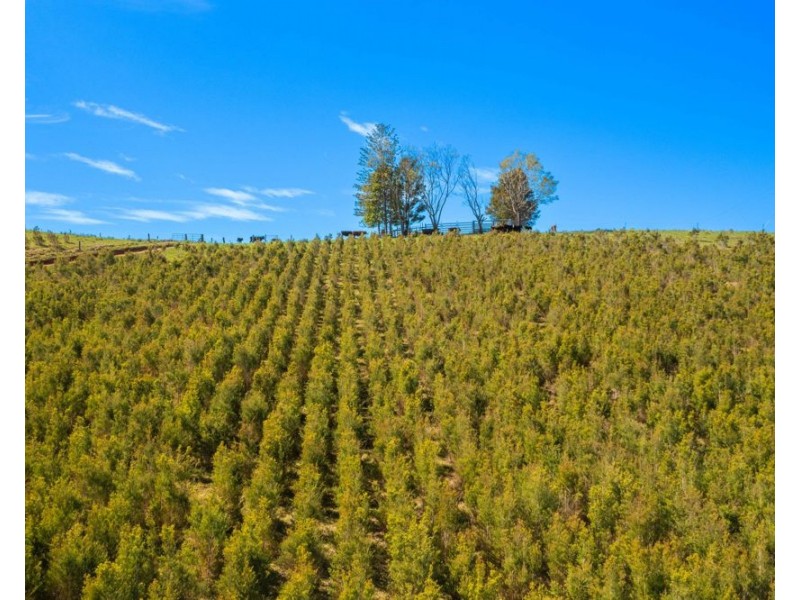 1756 North Arm Road, Bowraville NSW 2449