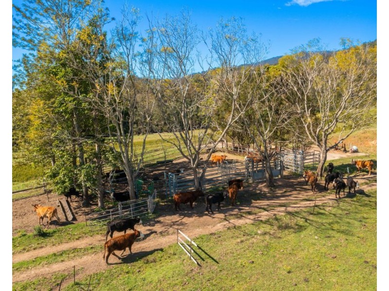 1756 North Arm Road, Bowraville NSW 2449