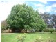 Crescent Head NSW 2440