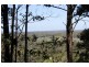 Telegraph Point NSW 2441