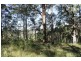 Telegraph Point NSW 2441