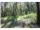 Telegraph Point NSW 2441