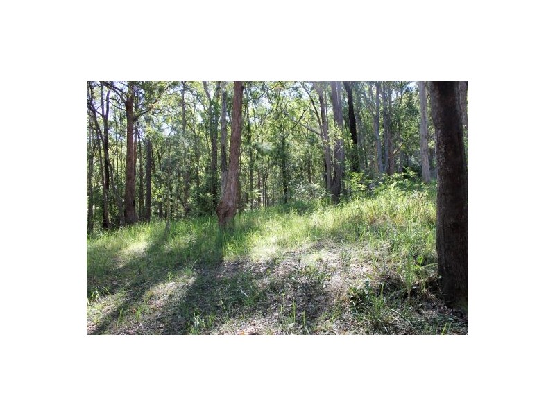 Telegraph Point NSW 2441