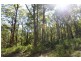 Telegraph Point NSW 2441