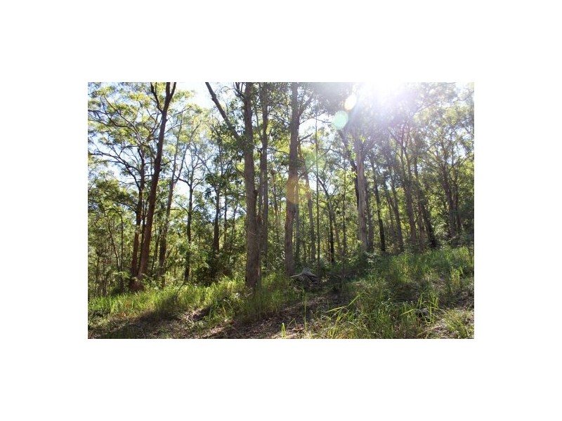 Telegraph Point NSW 2441