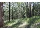Telegraph Point NSW 2441