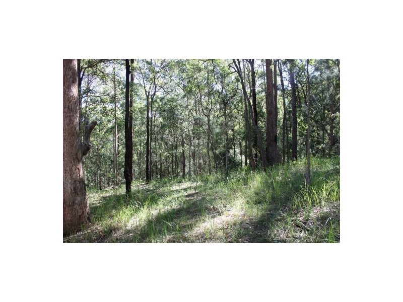 Telegraph Point NSW 2441