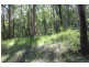 Telegraph Point NSW 2441