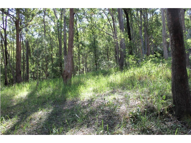 Telegraph Point NSW 2441