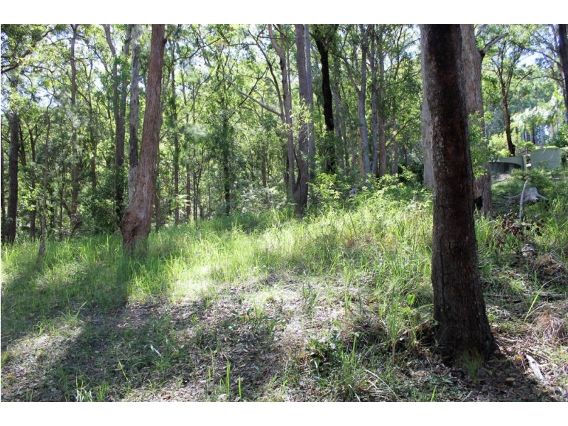 Telegraph Point NSW 2441