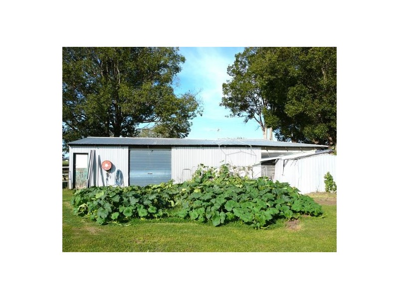 Bellimbopinni NSW 2440