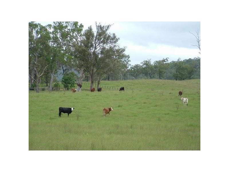 Kempsey NSW 2440