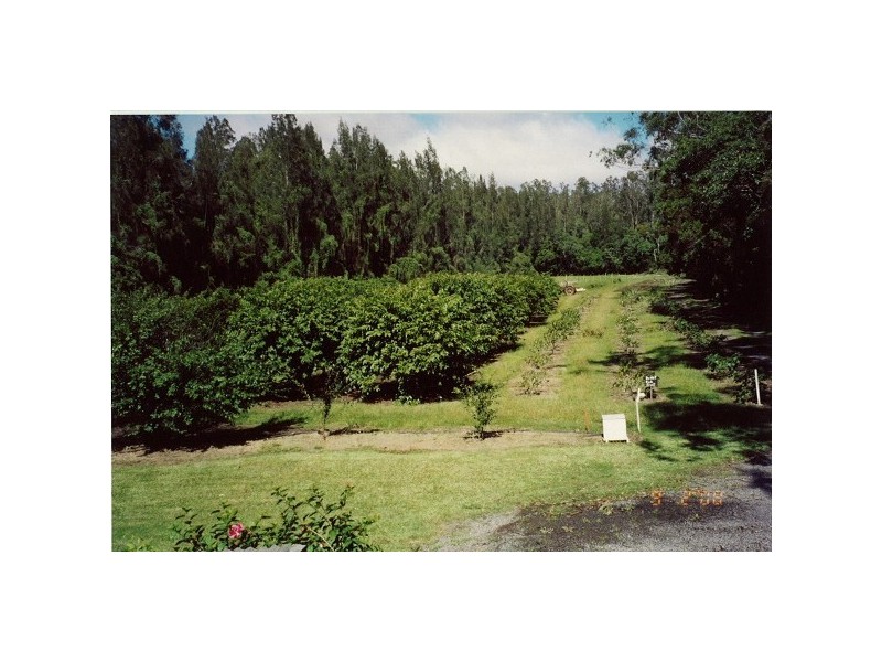 Crescent Head NSW 2440