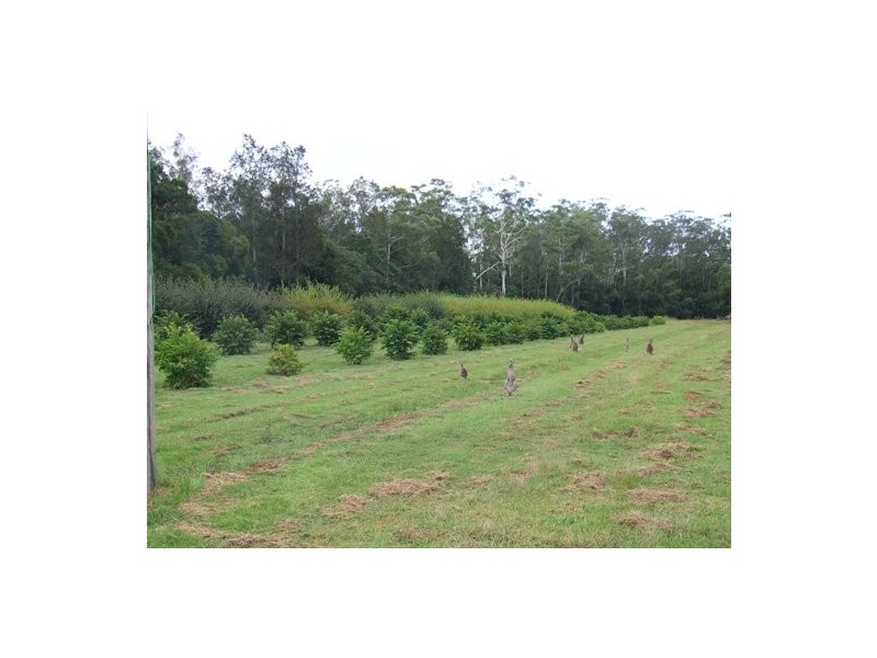 Crescent Head NSW 2440