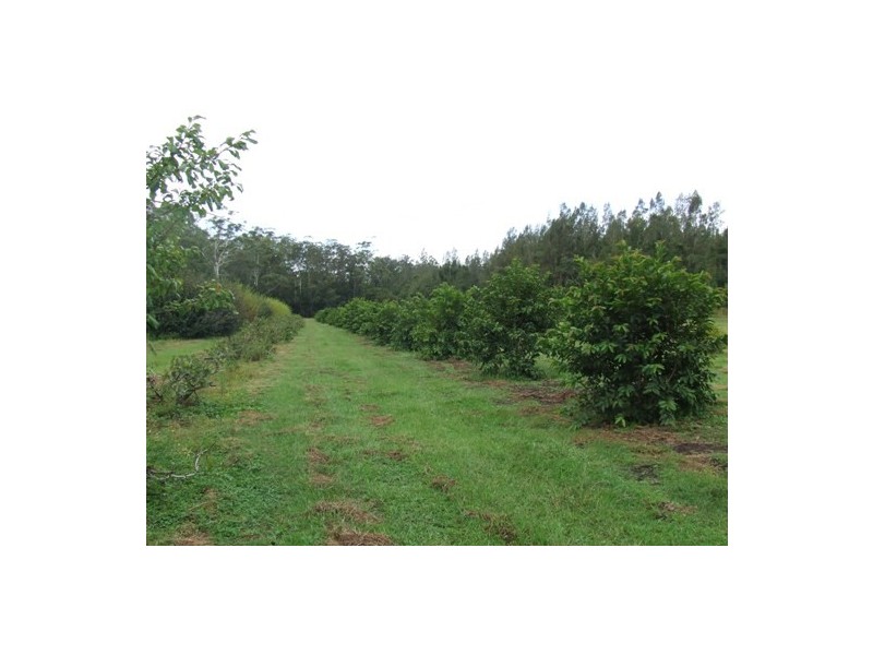 Crescent Head NSW 2440