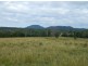 Rollands Plains NSW 2441