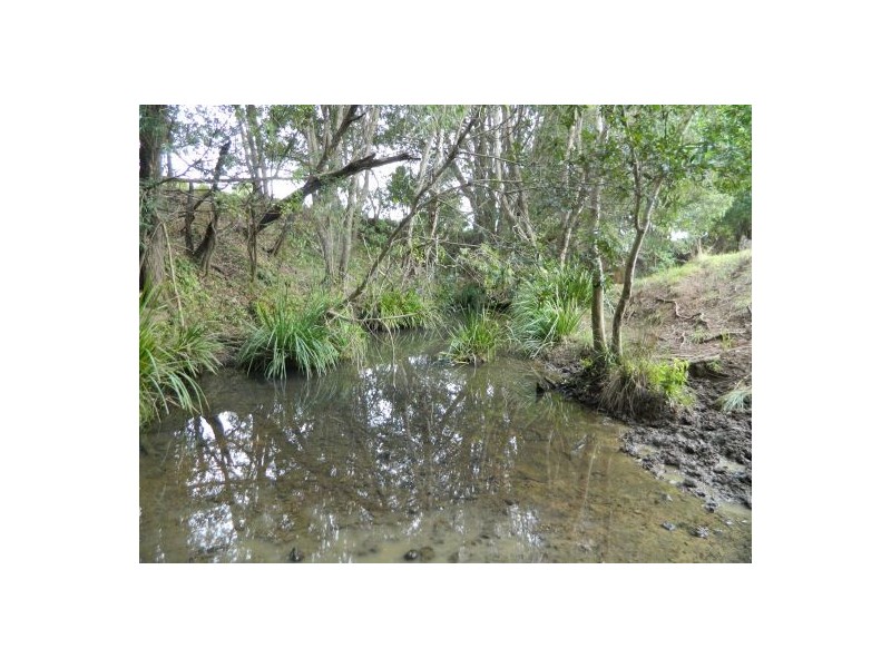 Rollands Plains NSW 2441