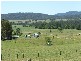 Rollands Plains NSW 2441