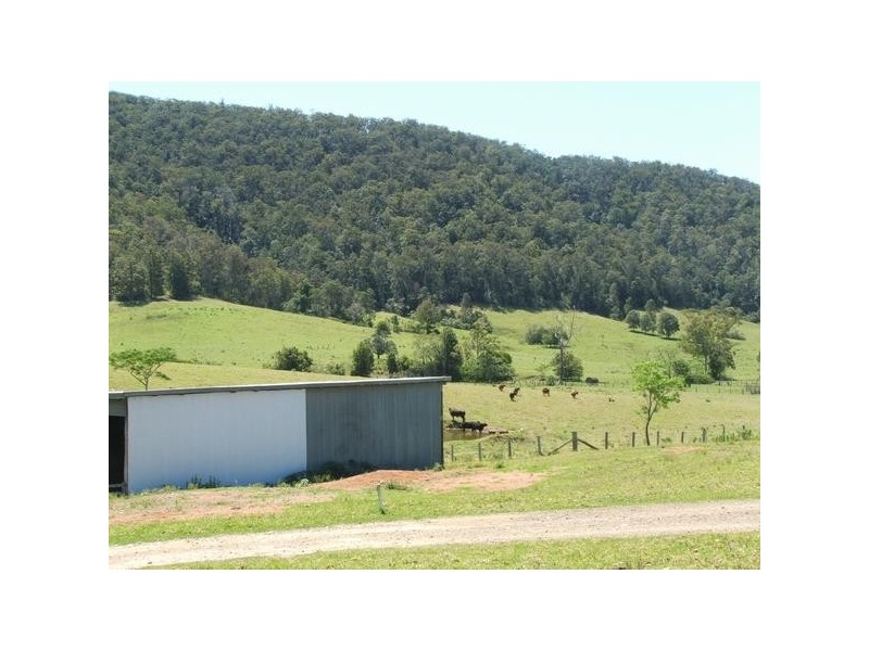 Rollands Plains NSW 2441