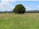 Wauchope NSW 2446