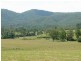 Upper Rollands Plains NSW 2441