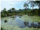 Upper Rollands Plains NSW 2441