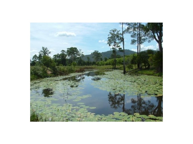 Upper Rollands Plains NSW 2441