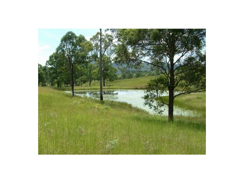 Upper Rollands Plains NSW 2441
