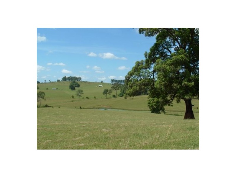 Upper Rollands Plains NSW 2441