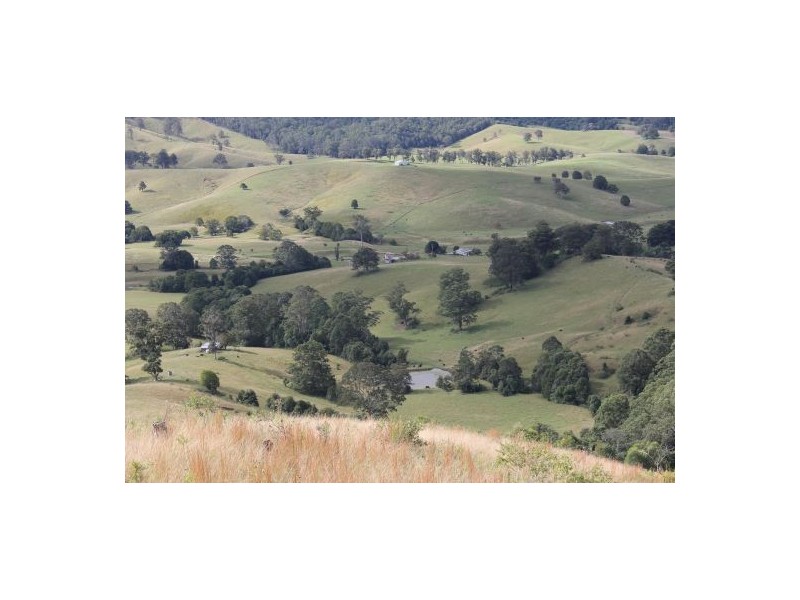 Yarranbella NSW 2447