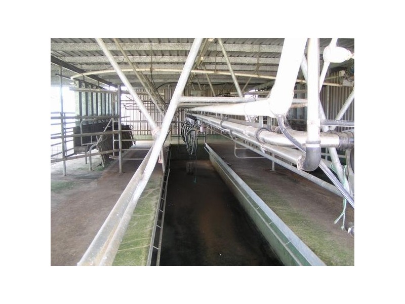 Beechwood NSW 2446