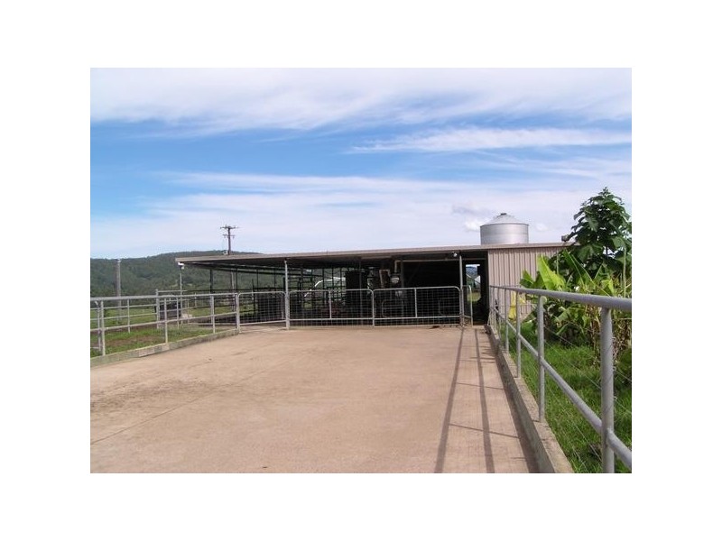 Beechwood NSW 2446