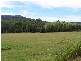 Beechwood NSW 2446