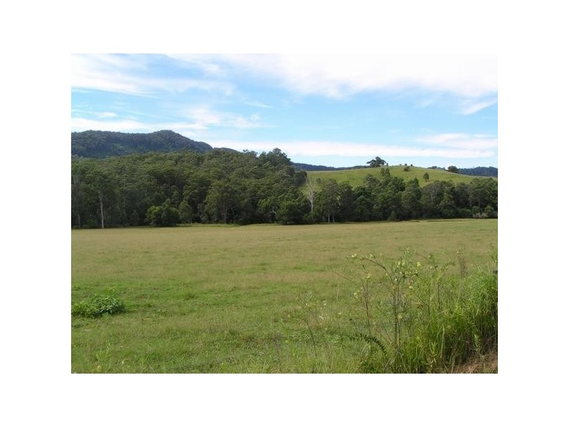 Beechwood NSW 2446