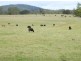 Rollands Plains NSW 2441