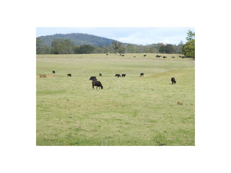 Rollands Plains NSW 2441