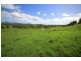 Rollands Plains NSW 2441