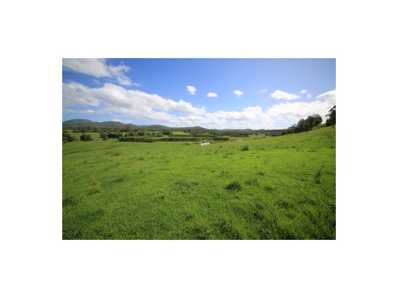 Rollands Plains NSW 2441