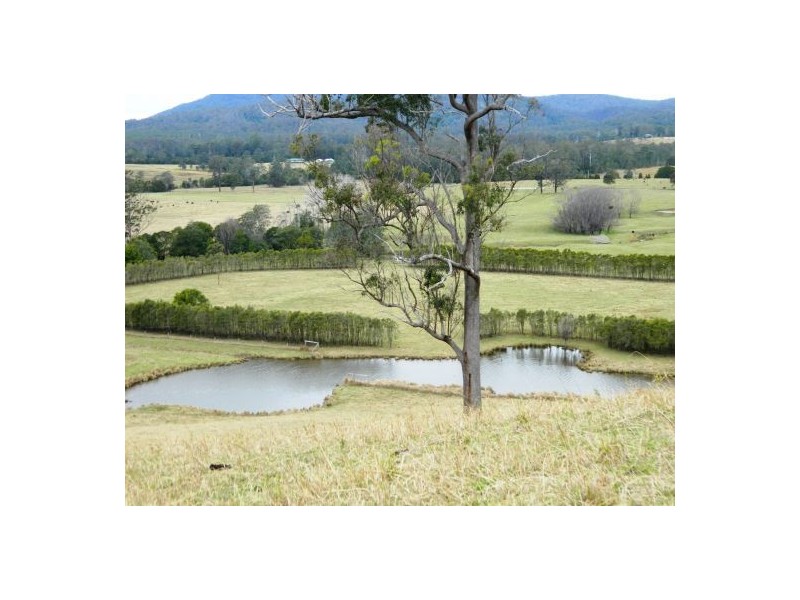 Rollands Plains NSW 2441
