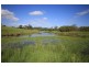 Rollands Plains NSW 2441