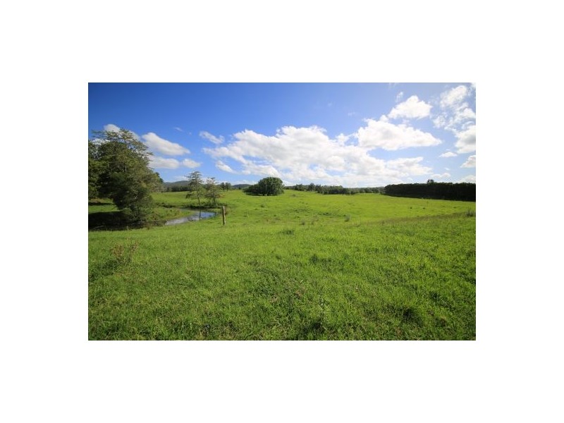 Rollands Plains NSW 2441