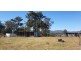 Rollands Plains NSW 2441