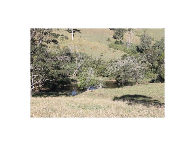 9 Apple Tree Road, Bellangry NSW 2446