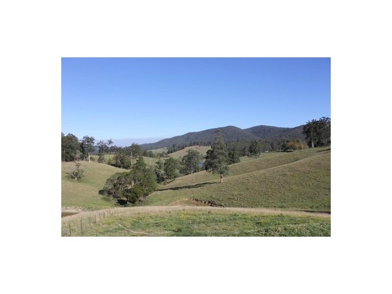 9 Apple Tree Road, Bellangry NSW 2446
