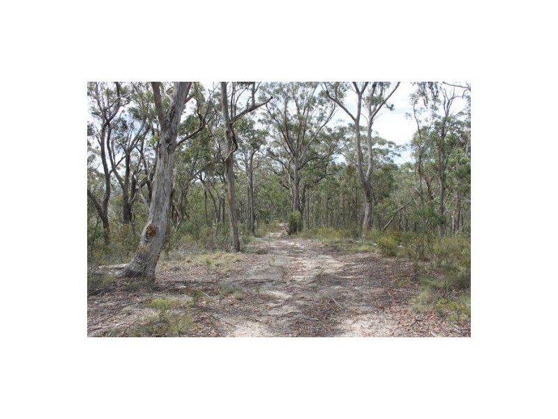 Yarrowitch NSW 2354