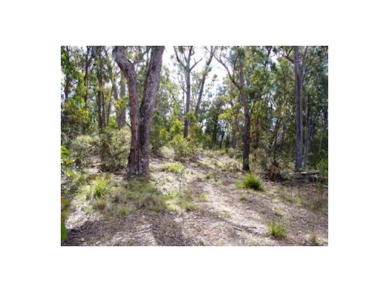 Yarrowitch NSW 2354