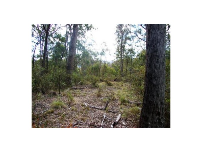 Yarrowitch NSW 2354