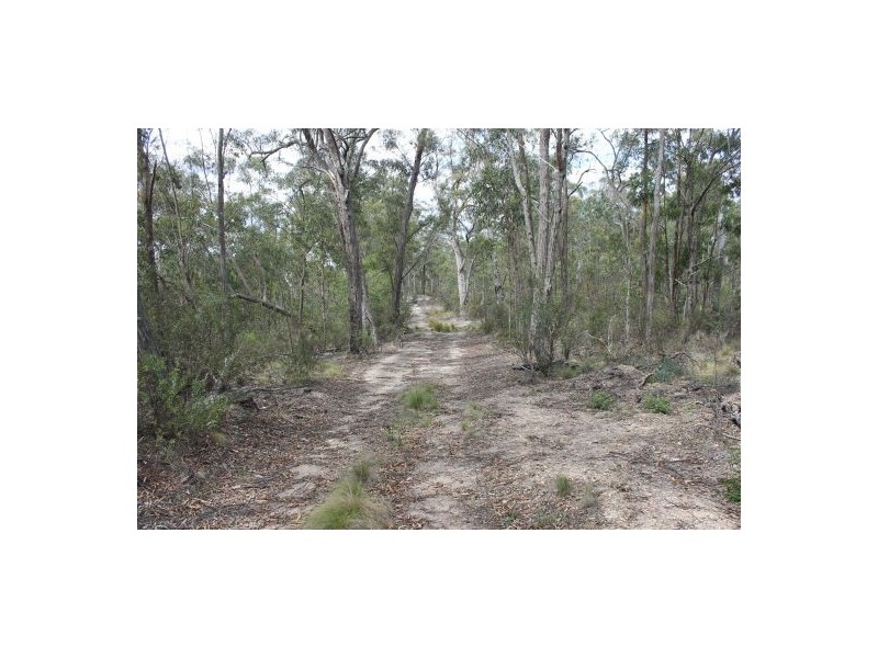 Yarrowitch NSW 2354